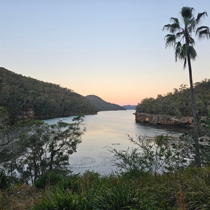 80km on a 2-day Great North Walk Section Hike | Trip Report