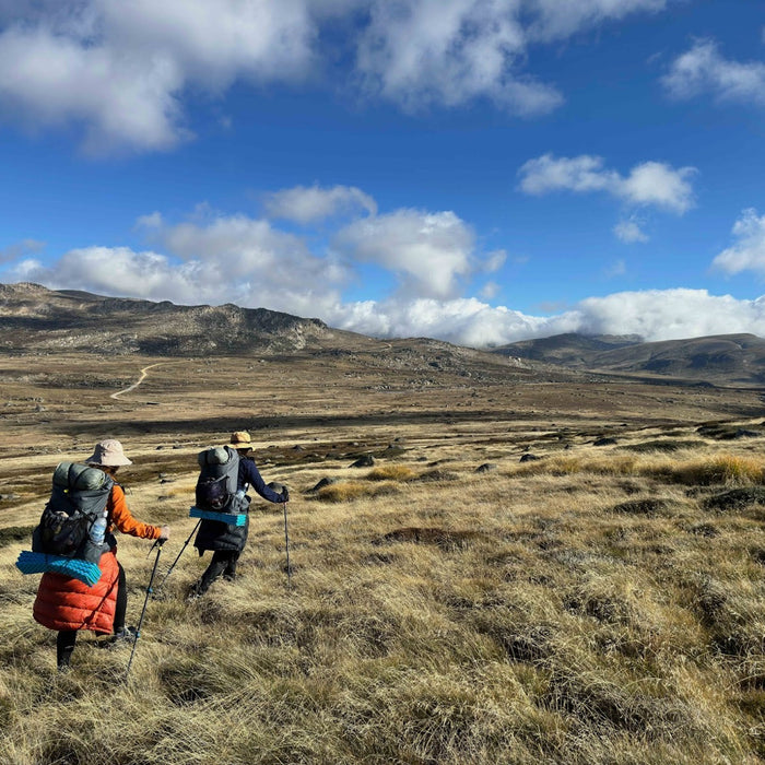 Introducing The Adventure Gene!