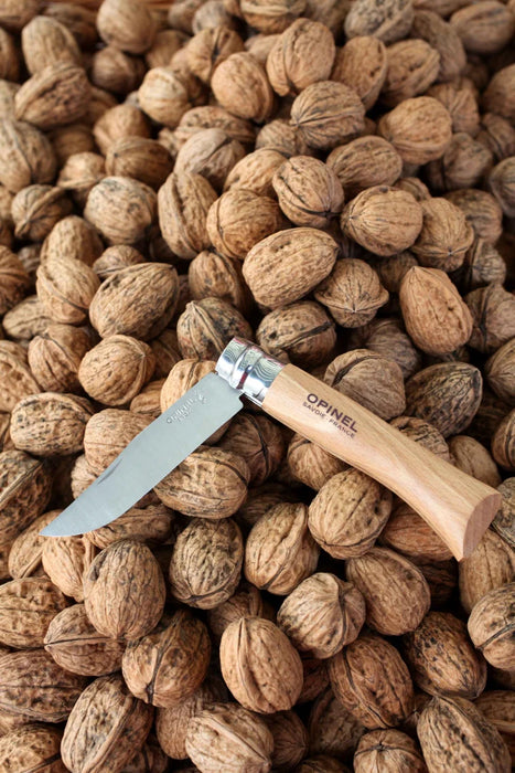 Opinel Traditional Classic N°06 Stainless Steel