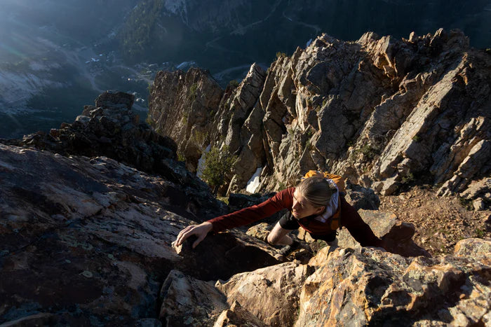 NW Alpine Black Spider Hoody Men's