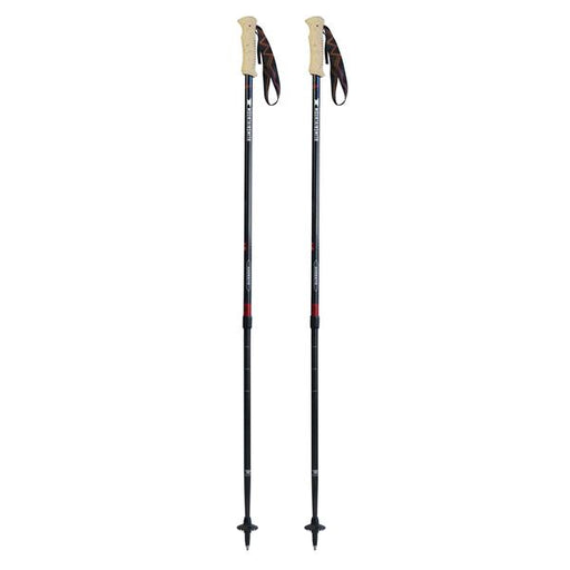 Andesite Trekking Poles